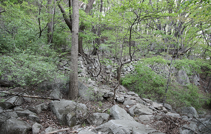 사지 아카이브 탐색 이미지 2